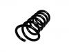 Coil Spring:30645929