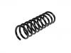 Coil Spring:9173775