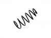 Coil Spring:6N0 411 105 C