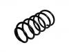 Coil Spring:6K0 411 105 J