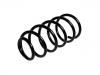 Coil Spring:1J0 411 105 AL