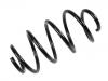 Coil Spring:1K0 411 105 DC