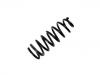 Coil Spring:54650-3F100