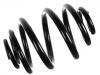 Coil Spring:105821