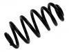 Coil Spring:8E0 511 115 CS