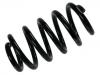 Coil Spring:8E0 411 105 CH