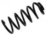 Coil Spring:4B0 511 115 CN