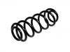 Coil Spring:1J0 511 115 BN