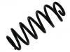 Coil Spring:8N0 511 115 B