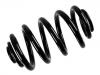 Coil Spring:33 53 3 413 079