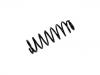 Coil Spring:96499053