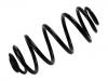 Coil Spring:51751800