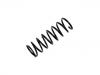 Coil Spring:C2S20758