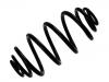 Coil Spring:93181483