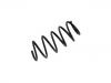 Coil Spring:93179681