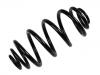 Coil Spring:93177774