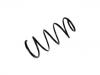 Coil Spring:REB101440