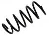 Coil Spring:30648140