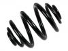 Coil Spring:1J9 511 115 H