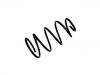 Fahrwerksfeder Coil Spring:4656 525AC