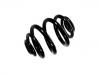 Coil Spring:33 53 2 283 136