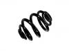 Coil Spring:33 53 2 283 137