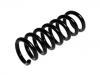 Coil Spring:204 324 07 04