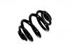 Coil Spring:33 53 2 282 632