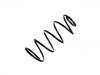 Coil Spring:1445944