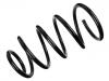 Coil Spring:1683597