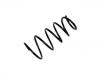 Coil Spring:4709691