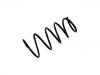 Coil Spring:4709693