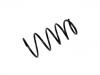 Coil Spring:4709694