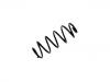 Coil Spring:4709730