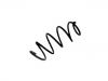 Coil Spring:5002.LG