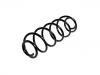 Coil Spring:5102.G6