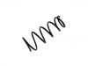 Coil Spring:41111-55L60-000