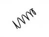 Coil Spring:41111-55LH0