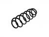 Coil Spring:1342461