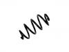 Coil Spring:55020-JG20A