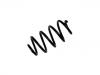 Coil Spring:55020-1KA0C