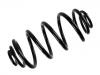 Coil Spring:424334