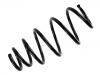 Coil Spring:312387