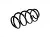 Coil Spring:9118405