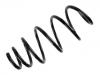 Coil Spring:312446