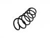 Coil Spring:5002.RA