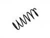 Coil Spring:31 33 1 134 400