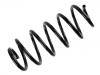 Coil Spring:1K0 411 105 EF