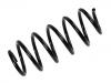 Coil Spring:1K0 411 105 EH