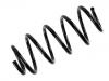 Coil Spring:3C0 411 105 B